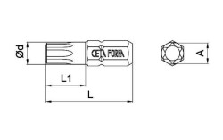 Ceta 1/4