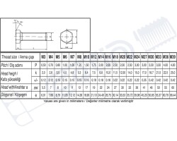 Civata Standart DIN 933 AKB, TD A2-70 Metrik 20x2,50x110 - 2