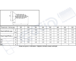 Vida Standart DIN 7982 YHB A2 Sac Sivri Uçlu Tam Diş 3,9x50 - 2