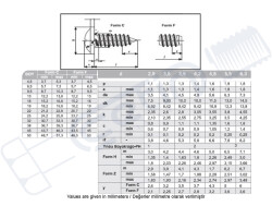 Vida Standart DIN 968 RYSB Sac Sivri Uçlu Tam Diş 4,2x13 - 2