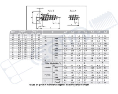 Vida Standart DIN 968 RYSB Sac Sivri Uçlu Tam Diş 4,2x13 - 2